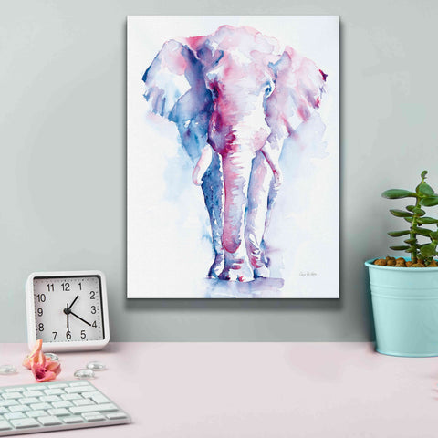 Image of 'An Elephant Never Forgets V2' by Alan Majchrowicz, Giclee Canvas Wall Art,12x16