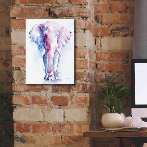 Image of 'An Elephant Never Forgets V2' by Alan Majchrowicz, Giclee Canvas Wall Art,12x16