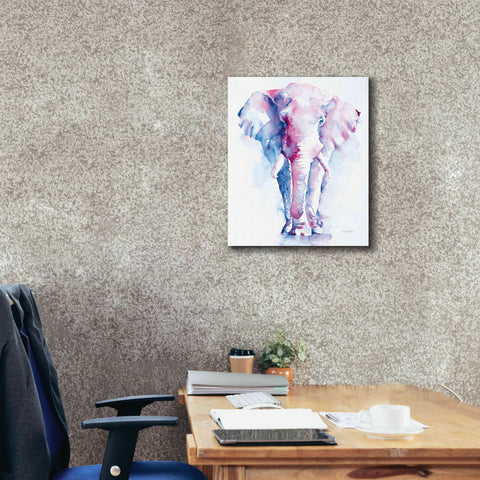 Image of 'An Elephant Never Forgets V2' by Alan Majchrowicz, Giclee Canvas Wall Art,20x24