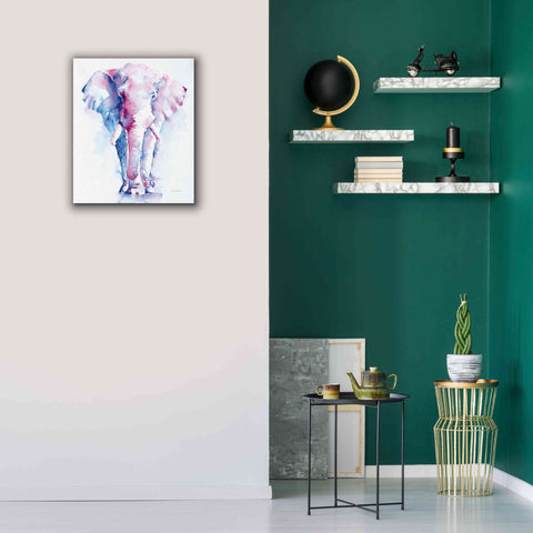 Image of 'An Elephant Never Forgets V2' by Alan Majchrowicz, Giclee Canvas Wall Art,20x24