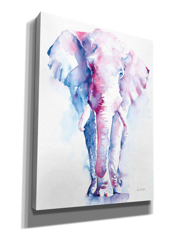 Image of 'An Elephant Never Forgets V2' by Alan Majchrowicz, Giclee Canvas Wall Art