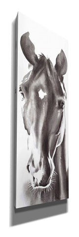 Image of 'Le Cheval Noir Horse Panel' by Alan Majchrowicz, Giclee Canvas Wall Art