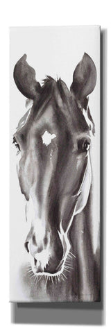 Image of 'Le Cheval Noir Horse Panel' by Alan Majchrowicz, Giclee Canvas Wall Art