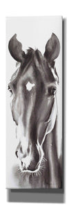 'Le Cheval Noir Horse Panel' by Alan Majchrowicz, Giclee Canvas Wall Art