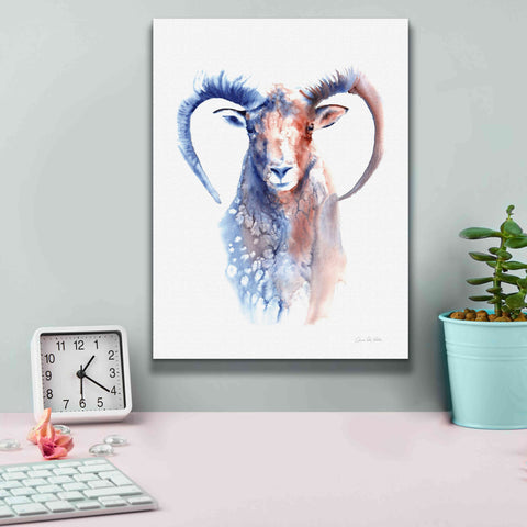 Image of 'Copper And Blue Ram' by Alan Majchrowicz, Giclee Canvas Wall Art,12x16