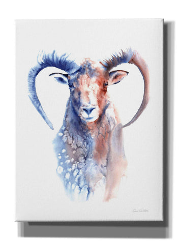 Image of 'Copper And Blue Ram' by Alan Majchrowicz, Giclee Canvas Wall Art