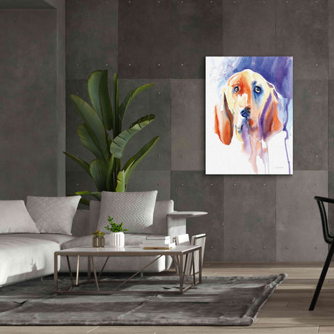 Image of 'Basset Hound' by Alan Majchrowicz, Giclee Canvas Wall Art,40x54