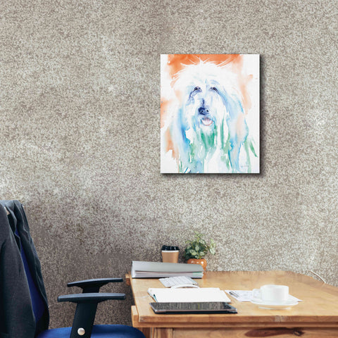 Image of 'Sheep Dog' by Alan Majchrowicz, Giclee Canvas Wall Art,20x24