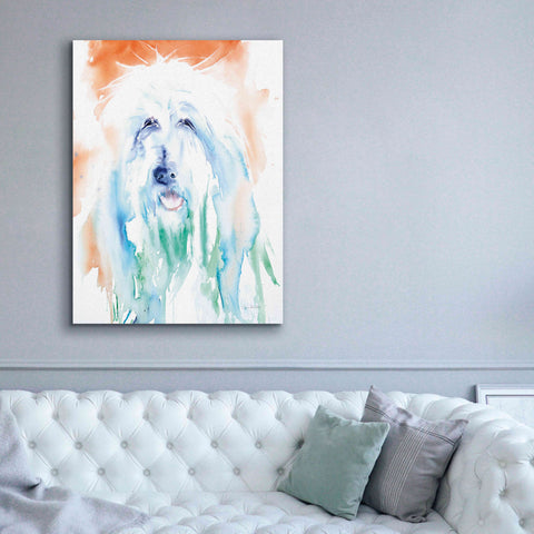 Image of 'Sheep Dog' by Alan Majchrowicz, Giclee Canvas Wall Art,40x54