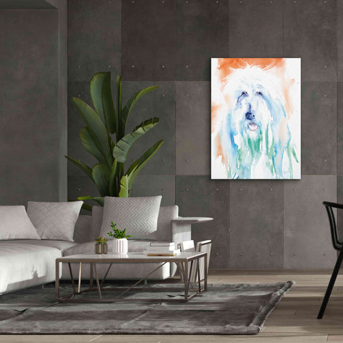 Image of 'Sheep Dog' by Alan Majchrowicz, Giclee Canvas Wall Art,40x54
