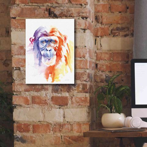 Image of 'Chimpanzee II' by Alan Majchrowicz, Giclee Canvas Wall Art,12x16