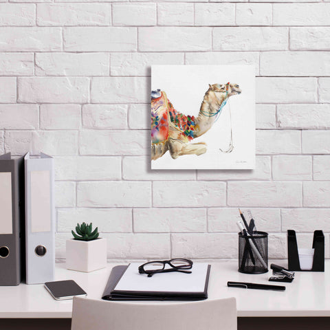 Image of 'Desert Camel I' by Alan Majchrowicz, Giclee Canvas Wall Art,12x12