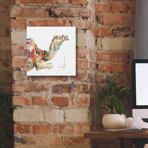 Image of 'Desert Camel I' by Alan Majchrowicz, Giclee Canvas Wall Art,12x12