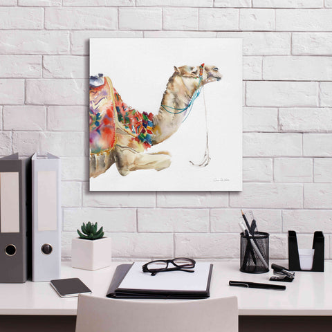 Image of 'Desert Camel I' by Alan Majchrowicz, Giclee Canvas Wall Art,18x18