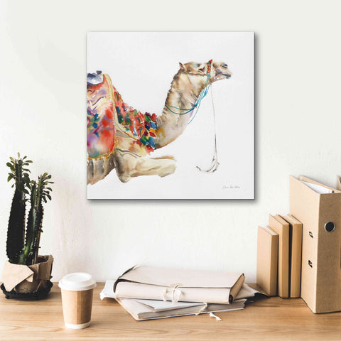 Image of 'Desert Camel I' by Alan Majchrowicz, Giclee Canvas Wall Art,18x18
