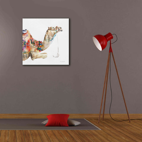 Image of 'Desert Camel I' by Alan Majchrowicz, Giclee Canvas Wall Art,26x26