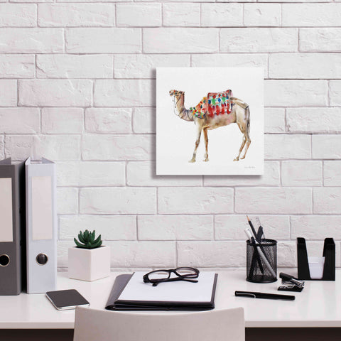 Image of 'Desert Camel II' by Alan Majchrowicz, Giclee Canvas Wall Art,12x12