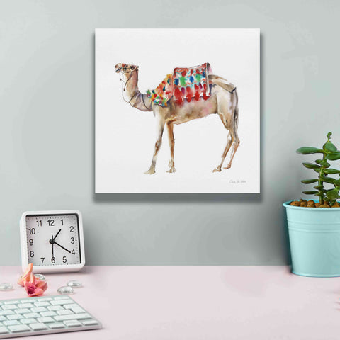 Image of 'Desert Camel II' by Alan Majchrowicz, Giclee Canvas Wall Art,12x12