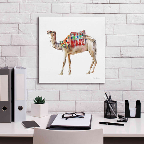 Image of 'Desert Camel II' by Alan Majchrowicz, Giclee Canvas Wall Art,18x18