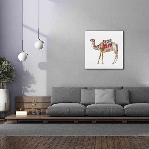 Image of 'Desert Camel II' by Alan Majchrowicz, Giclee Canvas Wall Art,37x37