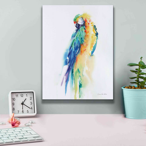 Image of 'Colorful Parrots II' by Alan Majchrowicz, Giclee Canvas Wall Art,12x16