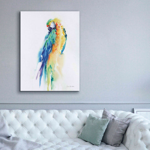 Image of 'Colorful Parrots II' by Alan Majchrowicz, Giclee Canvas Wall Art,40x54