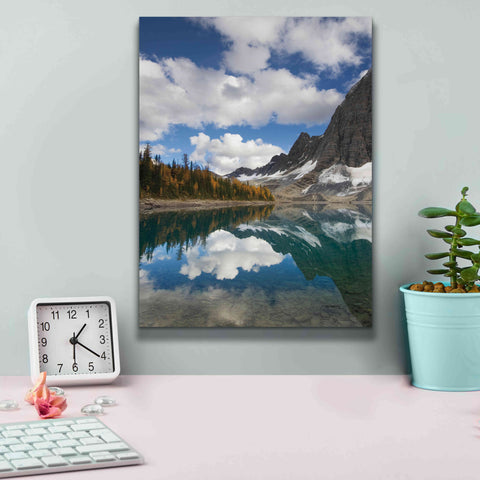 Image of 'Floe Lake Reflection I' by Alan Majchrowicz, Giclee Canvas Wall Art,12x16