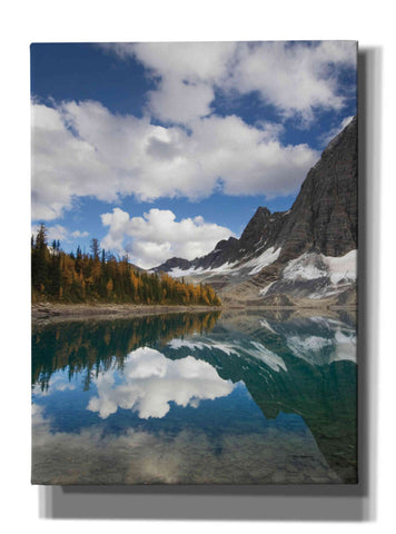 Image of 'Floe Lake Reflection I' by Alan Majchrowicz, Giclee Canvas Wall Art