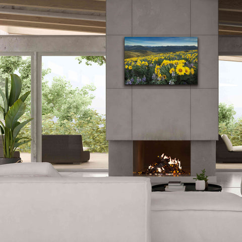 Image of 'Methow Valley Wildflowers IV' by Alan Majchrowicz, Giclee Canvas Wall Art,40x26