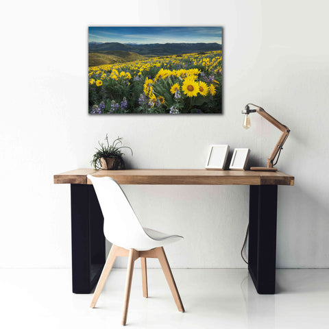 Image of 'Methow Valley Wildflowers IV' by Alan Majchrowicz, Giclee Canvas Wall Art,40x26