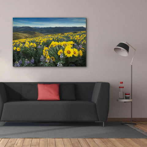 Image of 'Methow Valley Wildflowers IV' by Alan Majchrowicz, Giclee Canvas Wall Art,60x40
