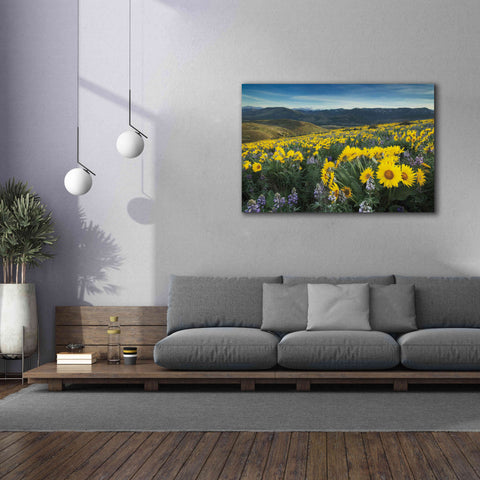 Image of 'Methow Valley Wildflowers IV' by Alan Majchrowicz, Giclee Canvas Wall Art,60x40