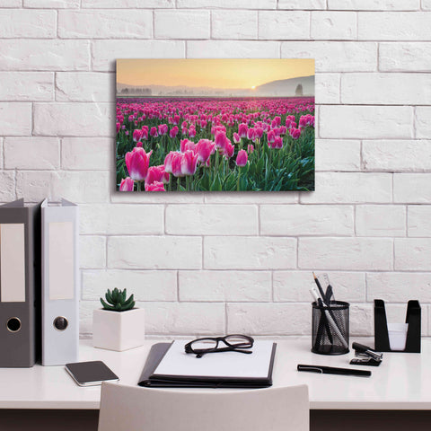 Image of 'Skagit Valley Tulips I' by Alan Majchrowicz, Giclee Canvas Wall Art,18x12