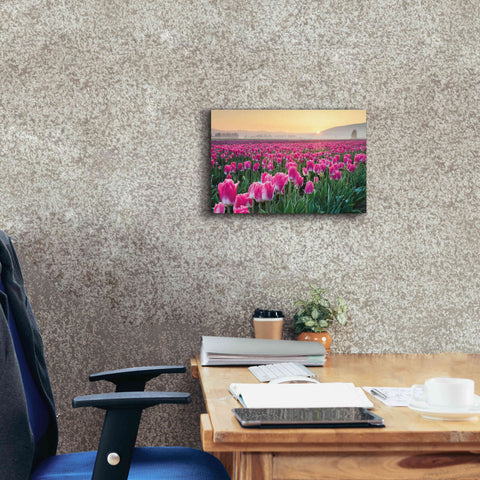 Image of 'Skagit Valley Tulips I' by Alan Majchrowicz, Giclee Canvas Wall Art,18x12