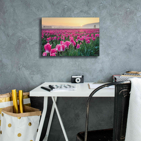 Image of 'Skagit Valley Tulips I' by Alan Majchrowicz, Giclee Canvas Wall Art,18x12