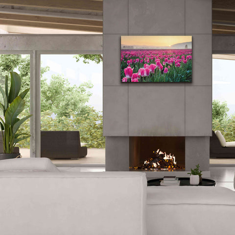 Image of 'Skagit Valley Tulips I' by Alan Majchrowicz, Giclee Canvas Wall Art,40x26