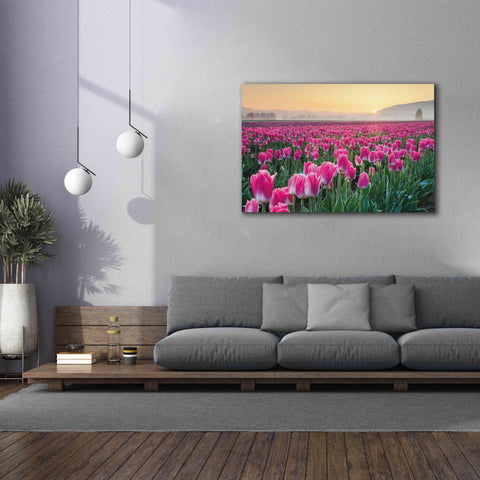 Image of 'Skagit Valley Tulips I' by Alan Majchrowicz, Giclee Canvas Wall Art,60x40