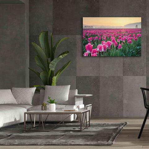 Image of 'Skagit Valley Tulips I' by Alan Majchrowicz, Giclee Canvas Wall Art,60x40