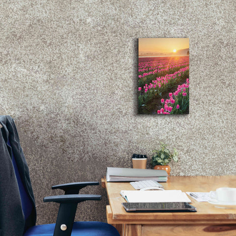 Image of 'Skagit Valley Tulips II' by Alan Majchrowicz,Giclee Canvas Wall Art,12x18