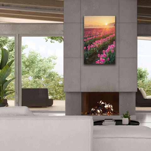 Image of 'Skagit Valley Tulips II' by Alan Majchrowicz,Giclee Canvas Wall Art,26x40