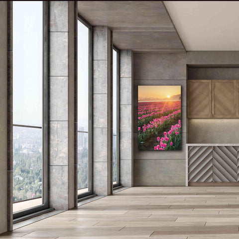 Image of 'Skagit Valley Tulips II' by Alan Majchrowicz,Giclee Canvas Wall Art,40x60