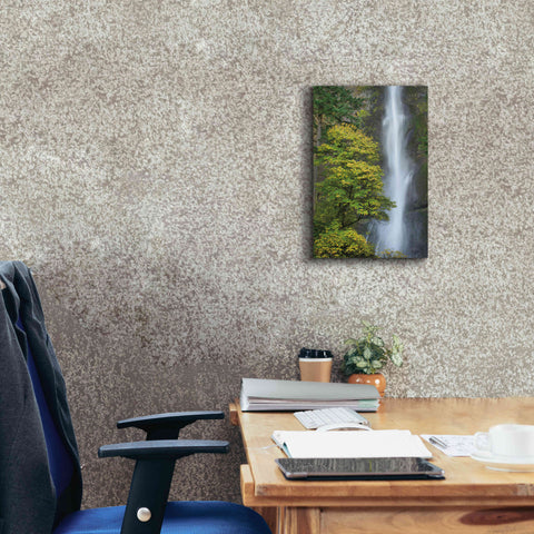 Image of 'Multnomah Falls color' by Alan Majchrowicz,Giclee Canvas Wall Art,12x18