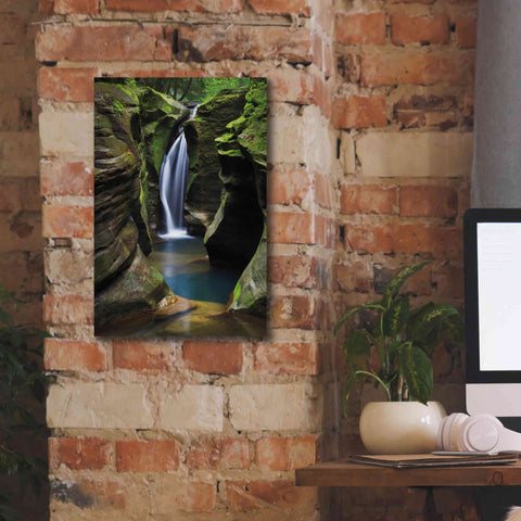 Image of 'Corkscrew Falls Ohio' by Alan Majchrowicz,Giclee Canvas Wall Art,12x18