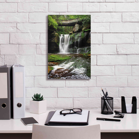 Image of 'Elakala Falls West I' by Alan Majchrowicz,Giclee Canvas Wall Art,12x18