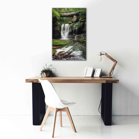 Image of 'Elakala Falls West I' by Alan Majchrowicz,Giclee Canvas Wall Art,26x40