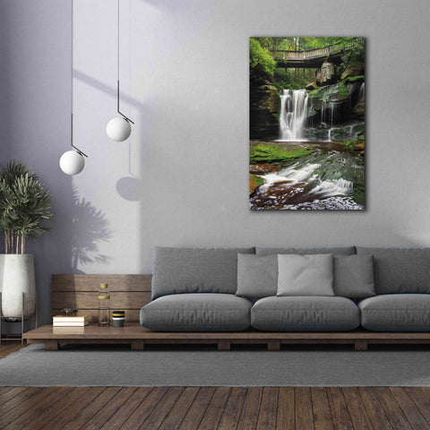 Image of 'Elakala Falls West I' by Alan Majchrowicz,Giclee Canvas Wall Art,40x60