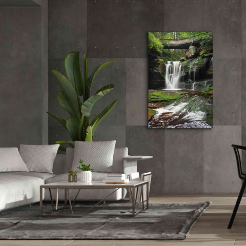 Image of 'Elakala Falls West I' by Alan Majchrowicz,Giclee Canvas Wall Art,40x60