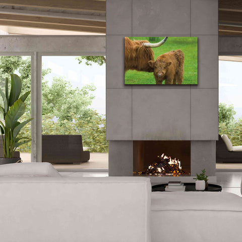 Image of 'Scottish Highland Cattle VII' by Alan Majchrowicz,Giclee Canvas Wall Art,40x26