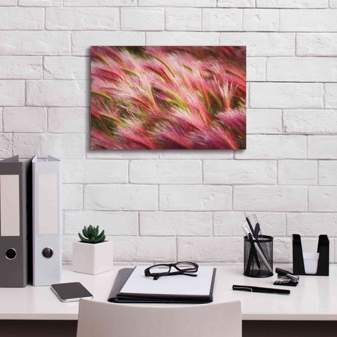 Image of 'Foxtail Barley II' by Alan Majchrowicz,Giclee Canvas Wall Art,18x12