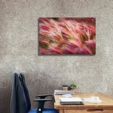 Image of 'Foxtail Barley II' by Alan Majchrowicz,Giclee Canvas Wall Art,40x26